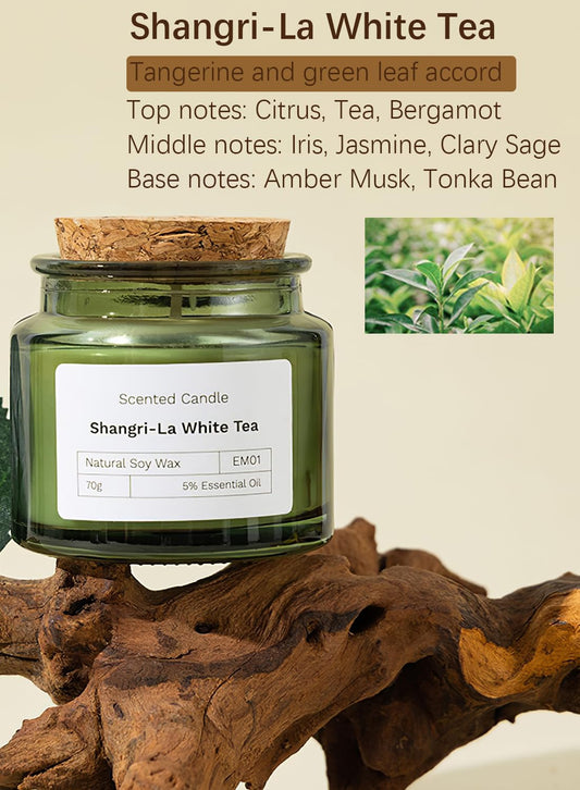 NOVO Scented Candles, 70g Natural Soy Wax Blend Aromatherapy Candle with Pure Essential Oils,12 Hours of Burn Time, or Home SPA Bathing Yoga-Shangri-La White Tea/Green