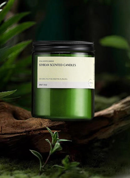 Scented Candle, Aromatherapy Soy Candles, 50 Hours Burn Time, Ideal for Home, Office D¨¦cor, 200g-Bergamot