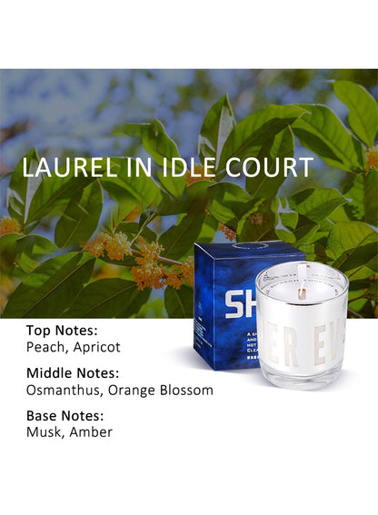 NOVO Scented Candle, 150g Natural Soy Wax Blend with Pure Essential Oils, Translucent Cup Creates Ambient Vibe for Home-Thorned Rose