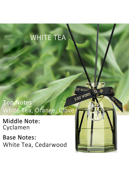 NOVO Scented Oil Diffuser with 5 Reed Sticks, Home Fragrance for Bathroom, Office & Home D¨¦cor 150ml -White Tea