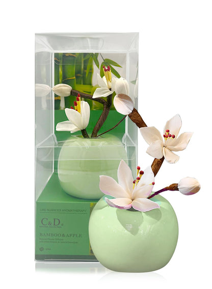 NOVO Diffuser, Natural Reed Diffuser Gift with Anti-Slip Pad, Long Lasting Scent for Room Bathroom Office & Car Decor,Air Fresheners&Stress Relief 30ml