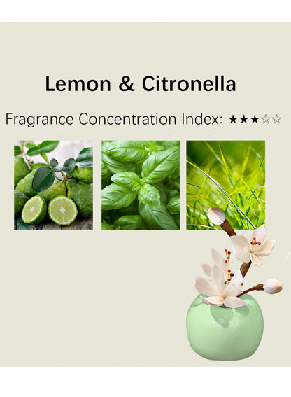 NOVO Diffuser, Natural Reed Diffuser Gift with Anti-Slip Pad, Long Lasting Scent for Room Bathroom Office & Car Decor,Air Fresheners&Stress Relief 30ml - Lemon & Citronella