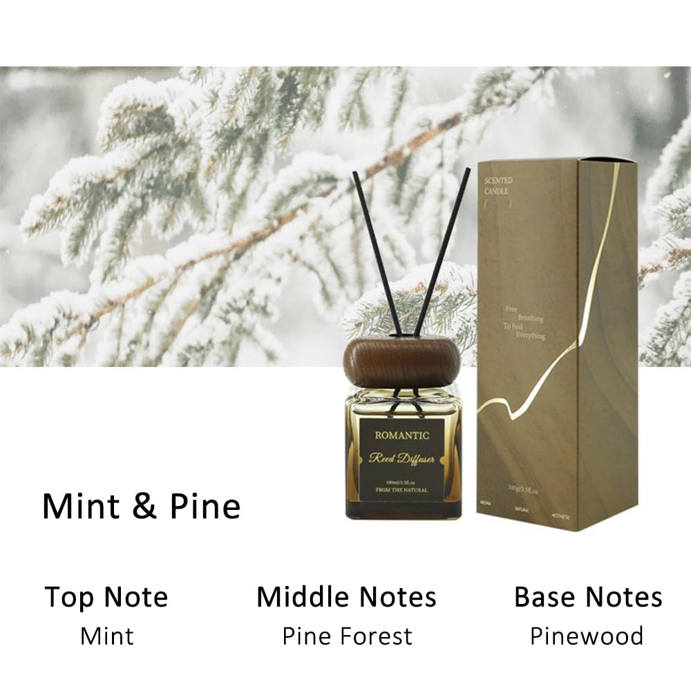 NOVO Reed Diffuser Set, Coffee Flavor Aromatherapy Scented Oil Diffuser with 6 Sticks for Home Office Decor 100ml -Mint & Pine