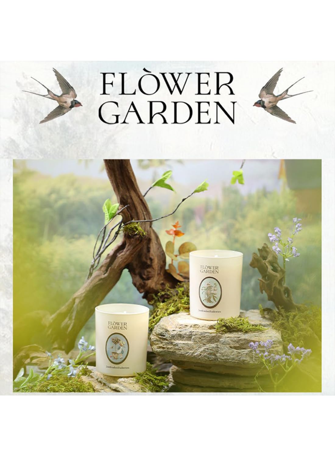 NOVO Scented Candle- 100g Natural Soy Wax Blend Aromatherapy Candle with Pure Essential Oils -Tangerine Glow