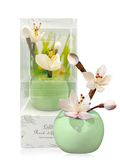 NOVO Diffuser, Natural Reed Diffuser Gift with Anti-Slip Pad, Long Lasting Scent for Room Bathroom Office & Car Decor,Air Fresheners&Stress Relief 30ml - Lemon & Citronella