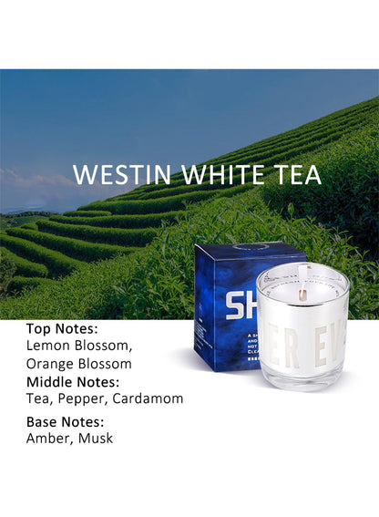 NOVO Scented Candle, 150g Natural Soy Wax Blend with Pure Essential Oils, Translucent Cup Creates Ambient Vibe for Home-Thorned Rose
