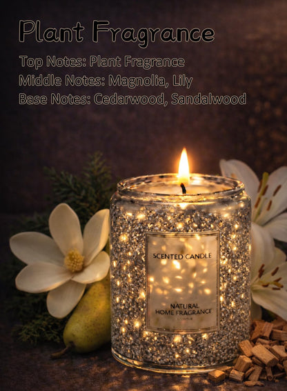 Scented Candle, Luxury Aromatherapy Soy Wax Candles, 40 Hours Clean Burn for Home D¨¦cor, 200g-Blackcurrant