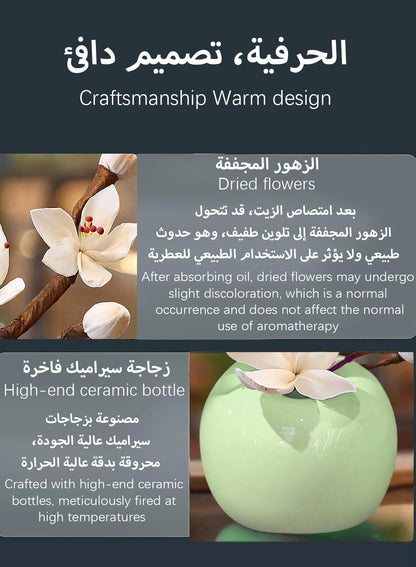 NOVO Diffuser, Natural Reed Diffuser Gift with Anti-Slip Pad, Long Lasting Scent for Room Bathroom Office & Car Decor,Air Fresheners&Stress Relief 30ml