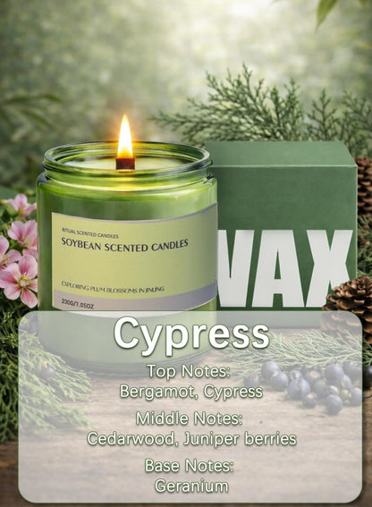 Scented Candle, Aromatherapy Soy Candles, 50 Hours Burn Time, Ideal for Home, Office D¨¦cor, 200g-Bergamot