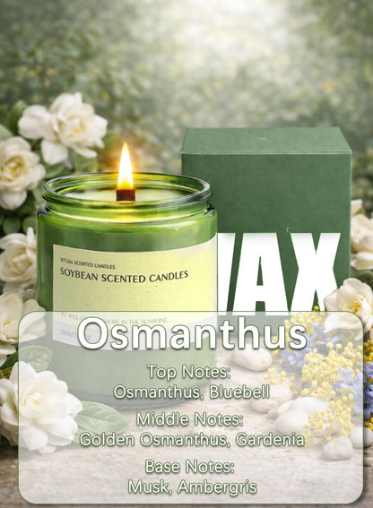 Scented Candle, Aromatherapy Soy Candles, 50 Hours Burn Time, Ideal for Home, Office D¨¦cor, 200g-Bergamot