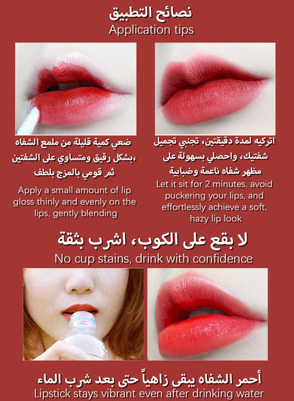 Matte Lip Gloss, Lightweight Waterproof Lipstick, Long-lasting Matte Velvet Lip Stain, Moisturizing No-Sticky Lip Tint for Women 3g - Color CT#
